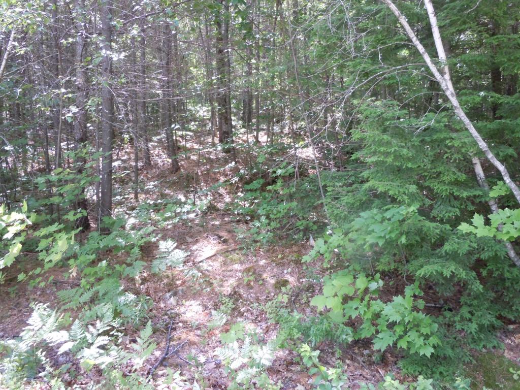 0 Lane Road Plymouth, NH 03264 - Photo 1 of 2 Gallery Image 1