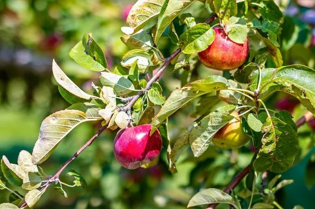 $1,250,000 | 253 County Highway, Kaukauna, WI 54130