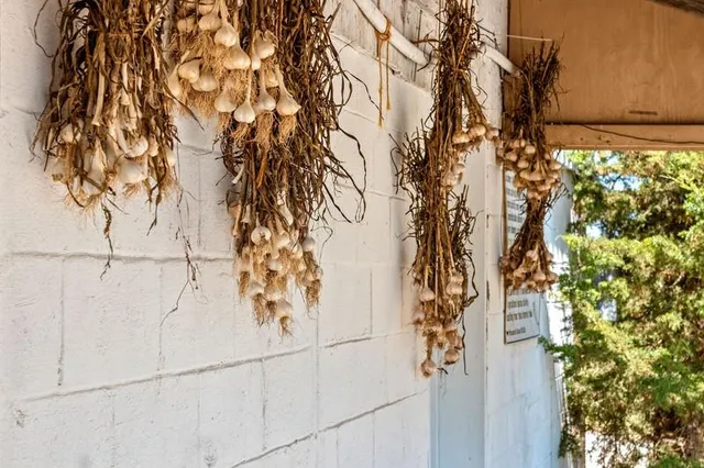 $1,250,000 | 253 County Highway, Kaukauna, WI 54130