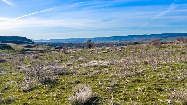 a view of a field with an ocean