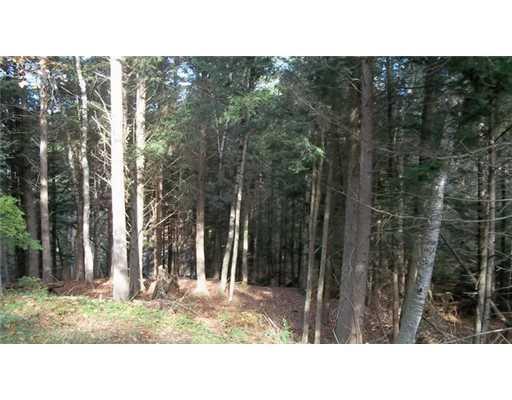 155 Sabino Road West Bath, ME 04530 - Photo 14 of 17 Yard/Garden.