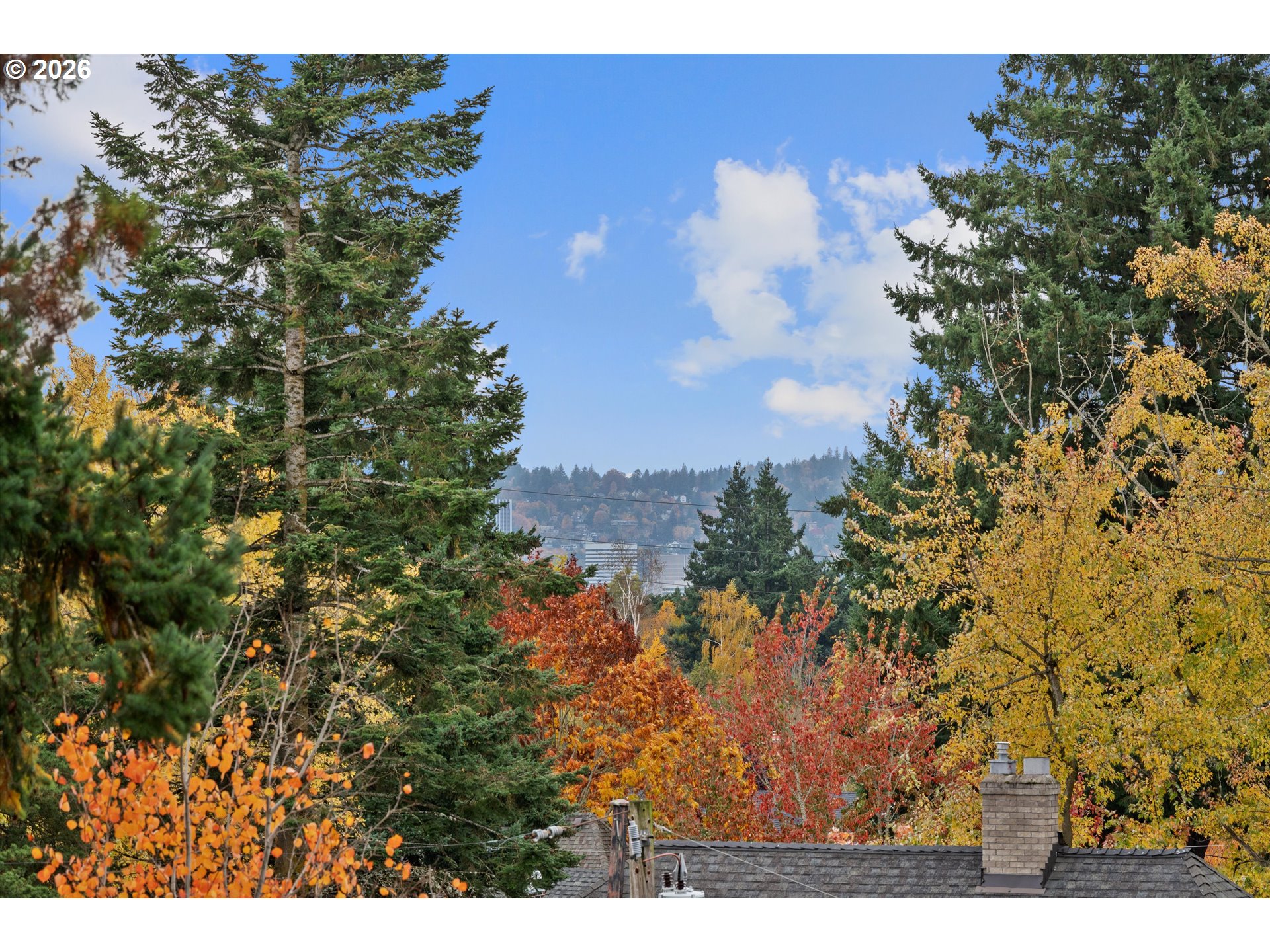 2783 Northeast Wiberg Lane Portland, OR 97213 - Photo 47 of 48 a view of a tree with a yard