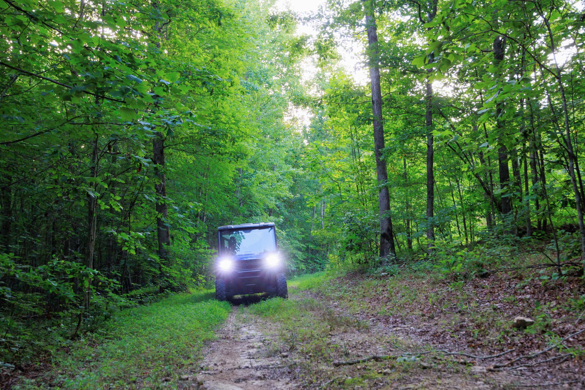 1075 Linville Road Lawrenceburg, TN 38464 - Photo 43 of 52 Enjoy the property by foot, horse, jeep or the 4 wheeled ride of your choice!