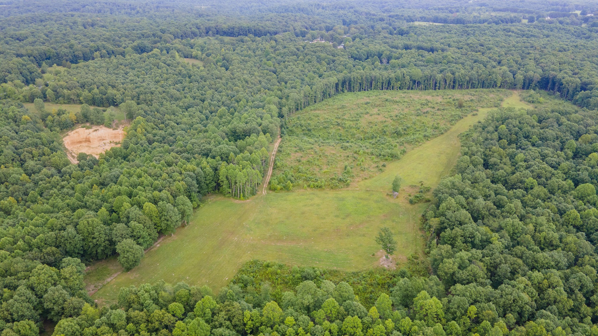 1075 Linville Road Lawrenceburg, TN 38464 - Photo 45 of 52 IDEAL set up for hunting - including primo food plot locations. Open pasture and wooded areas included in this property.