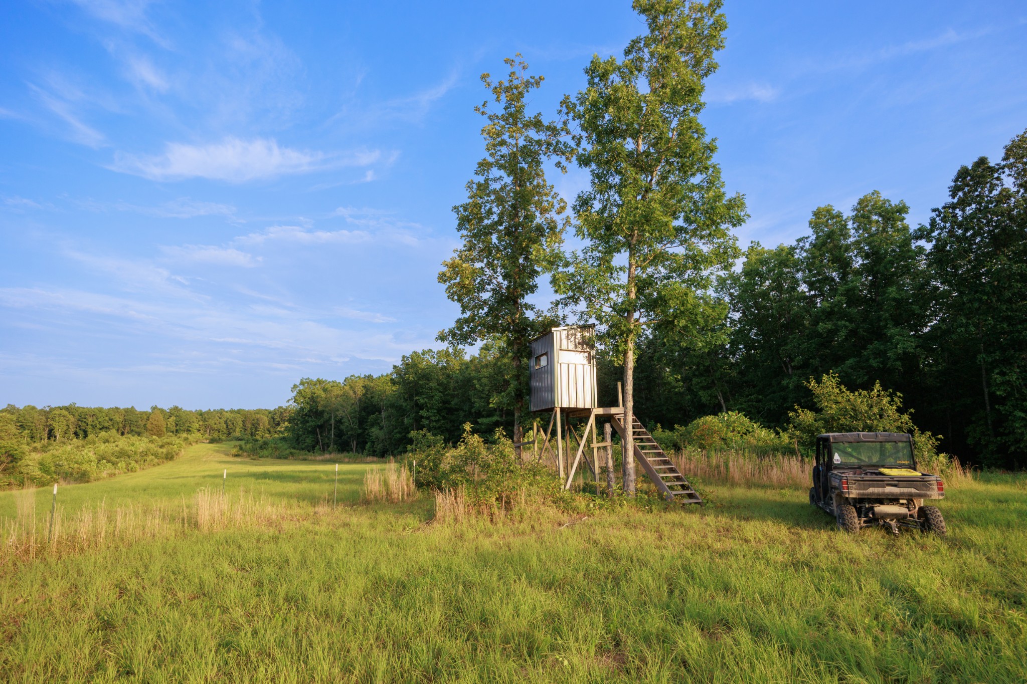 1075 Linville Road Lawrenceburg, TN 38464 - Photo 46 of 52 Hunting Season will be here before we know it.....