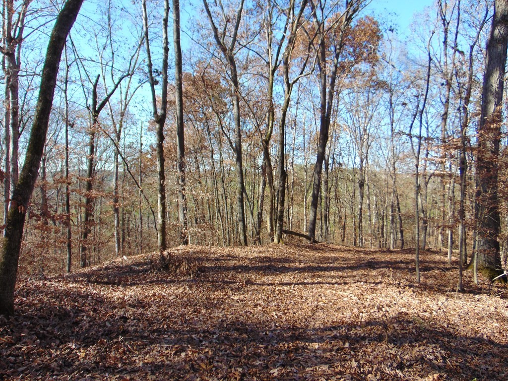 0 Athens Road Delano, TN 37325 - Photo 7 of 10