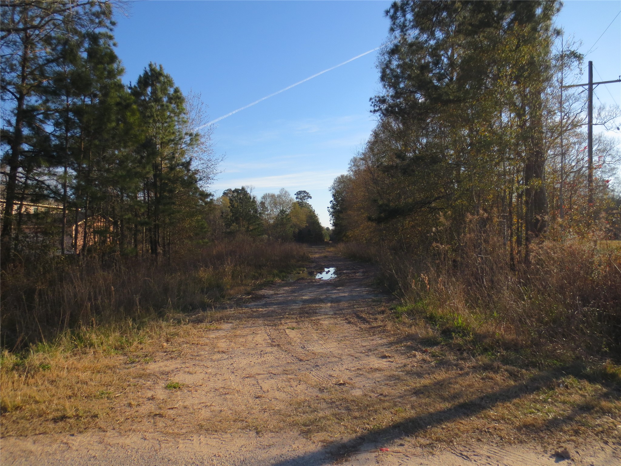 12 Acres Off W Relza Road Splendora, TX 77372 - Photo 2 of 6 a view of a yard