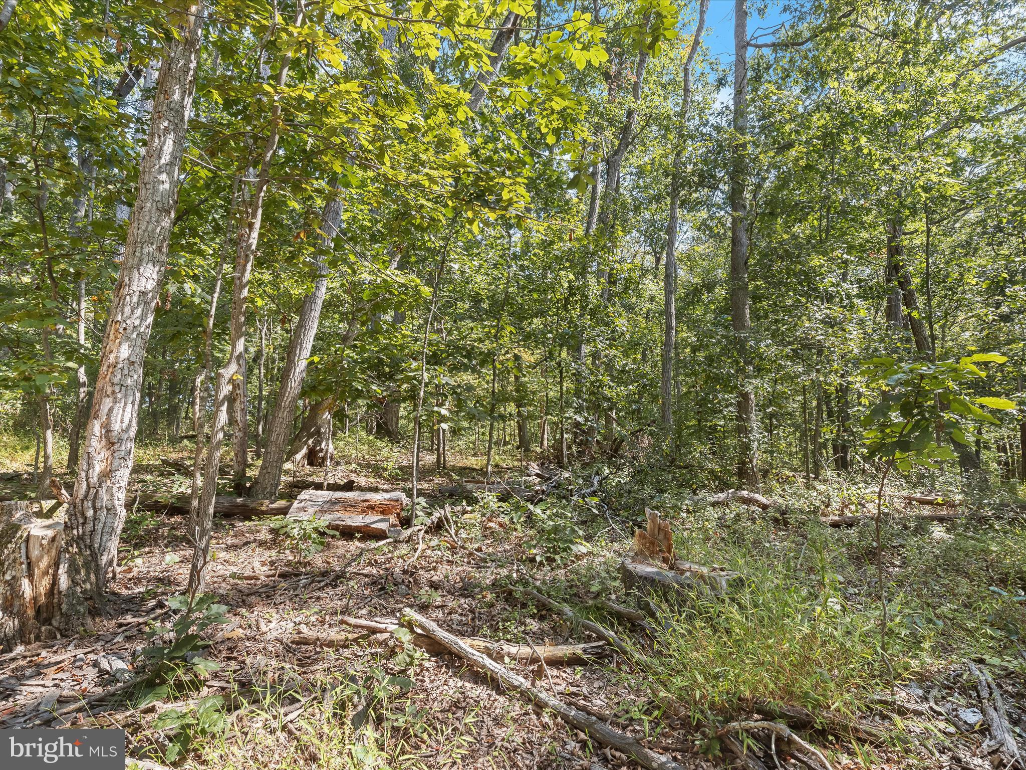 Silver Run Valley Westminster, MD 21158 - Photo 11 of 33 a view of a yard with a tree