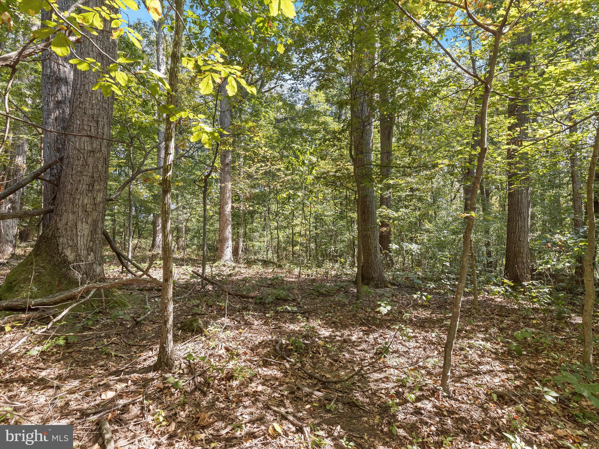 Silver Run Valley Westminster, MD 21158 - Photo 13 of 33 a backyard of a house with lots of green space