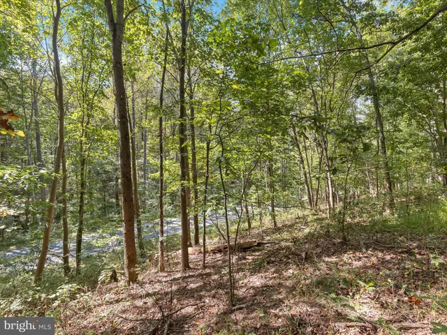 a view of a street with a trees