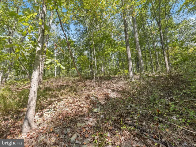 a view of a pathway both side of yard