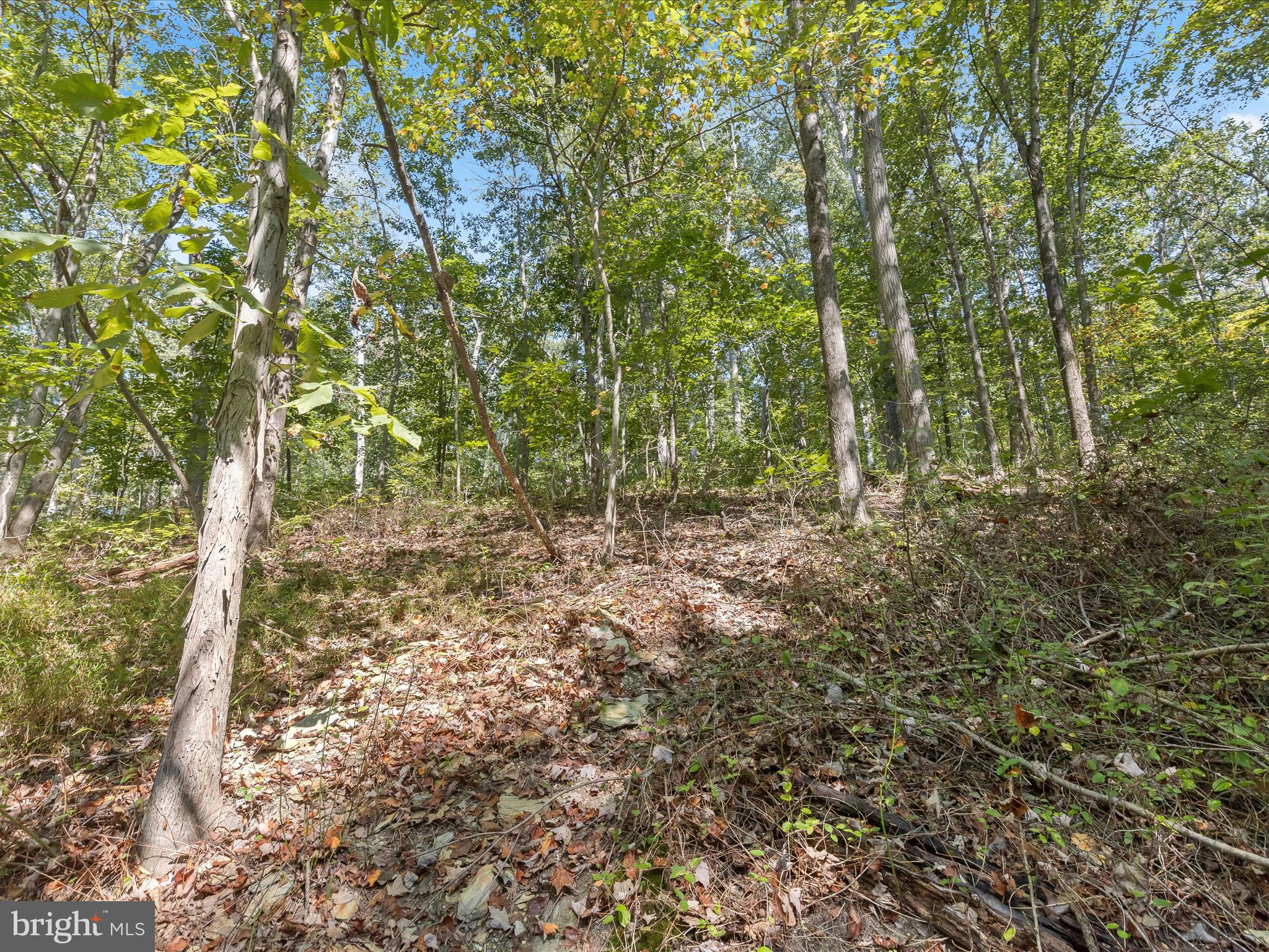 Silver Run Valley Westminster, MD 21158 - Photo 18 of 33 400 Block Silver Valley017