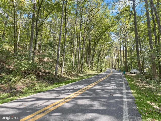 a view of a pathway both side of the road and trees