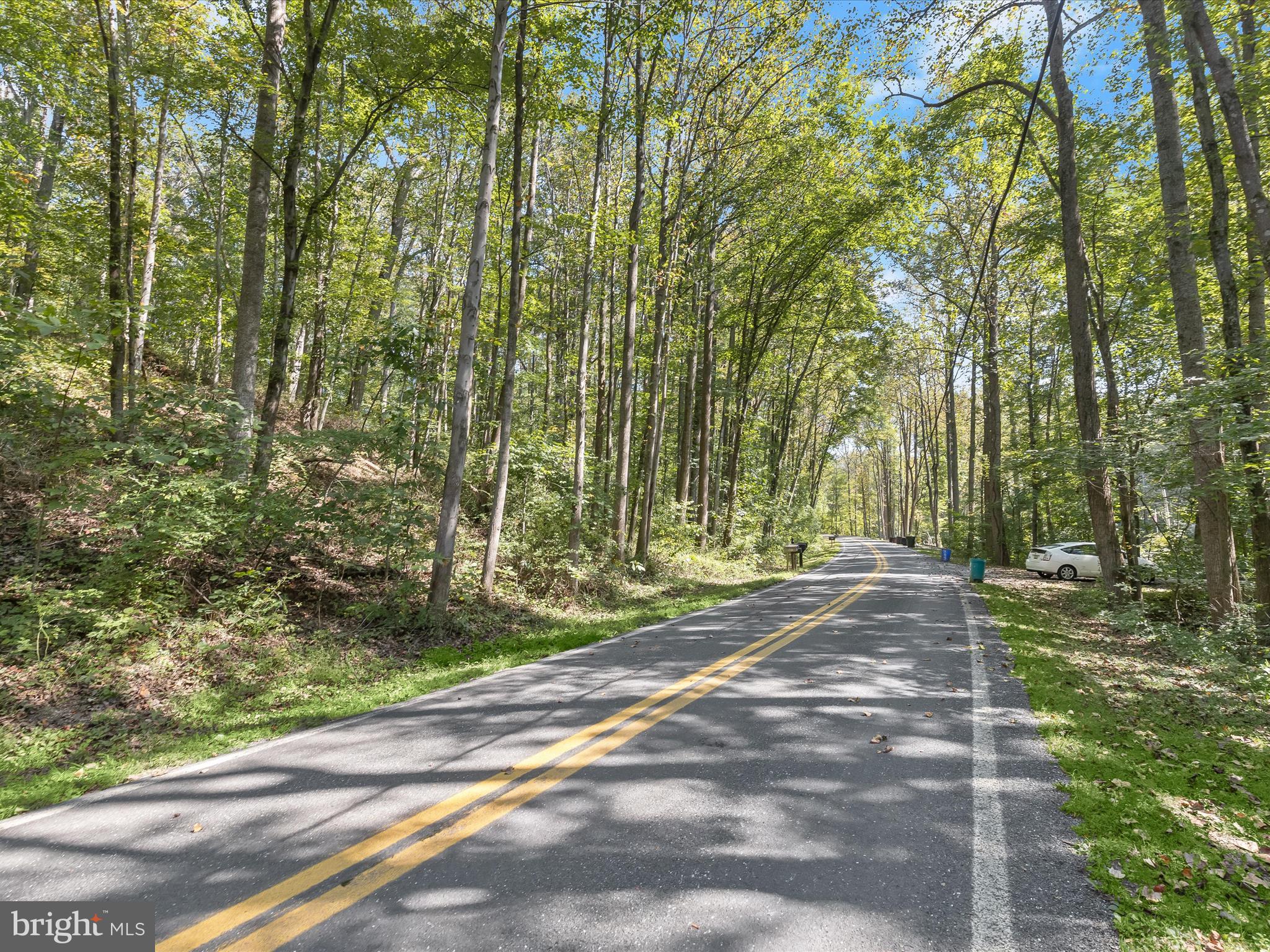 Silver Run Valley Westminster, MD 21158 - Photo 19 of 33 a view of a yard with a trees