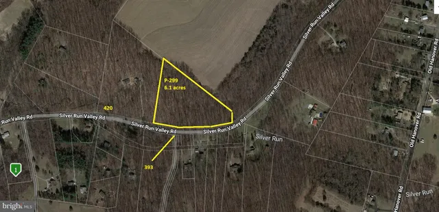 a view of a yard with plants