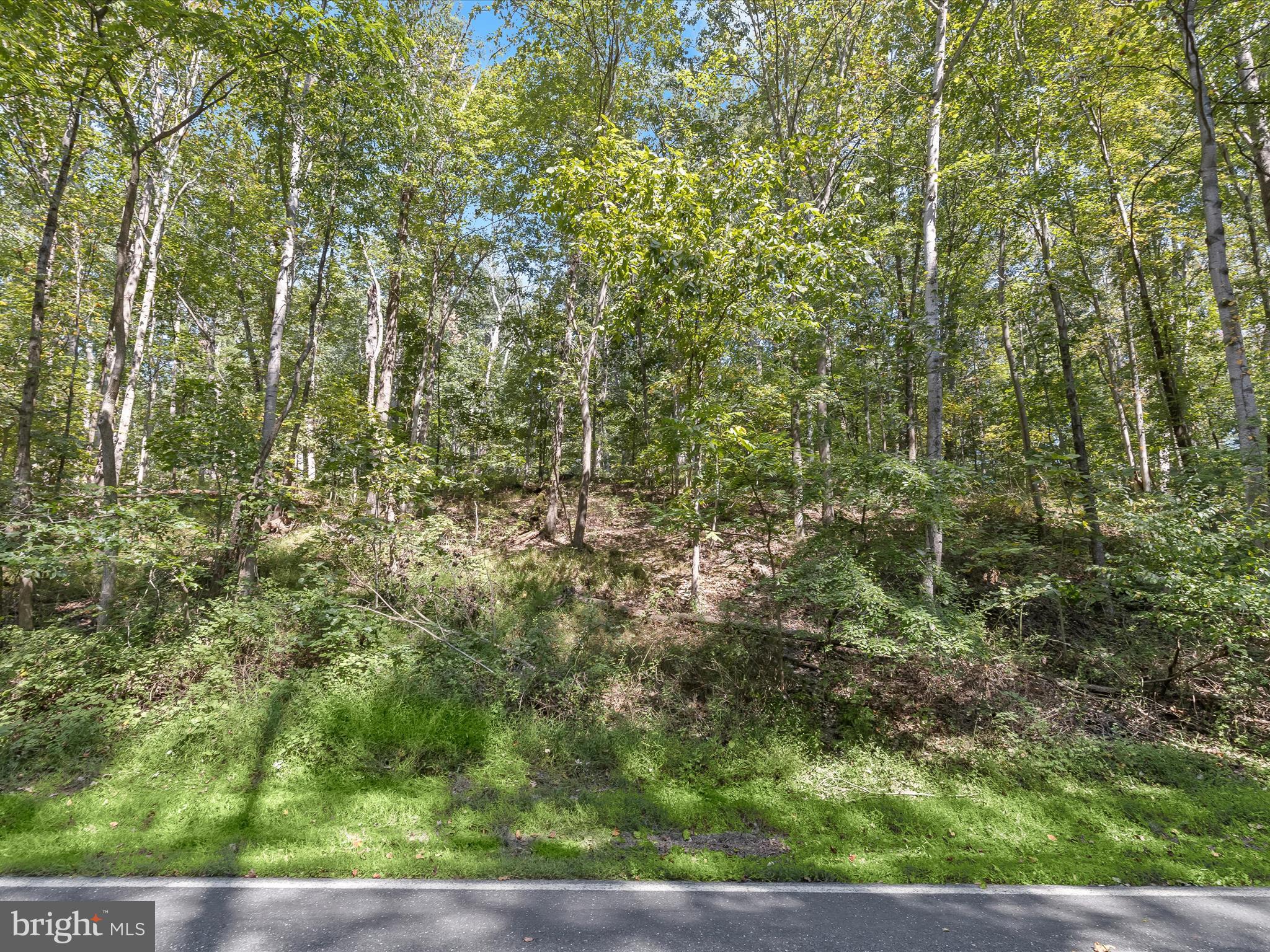 Silver Run Valley Westminster, MD 21158 - Photo 21 of 33 a view of a yard