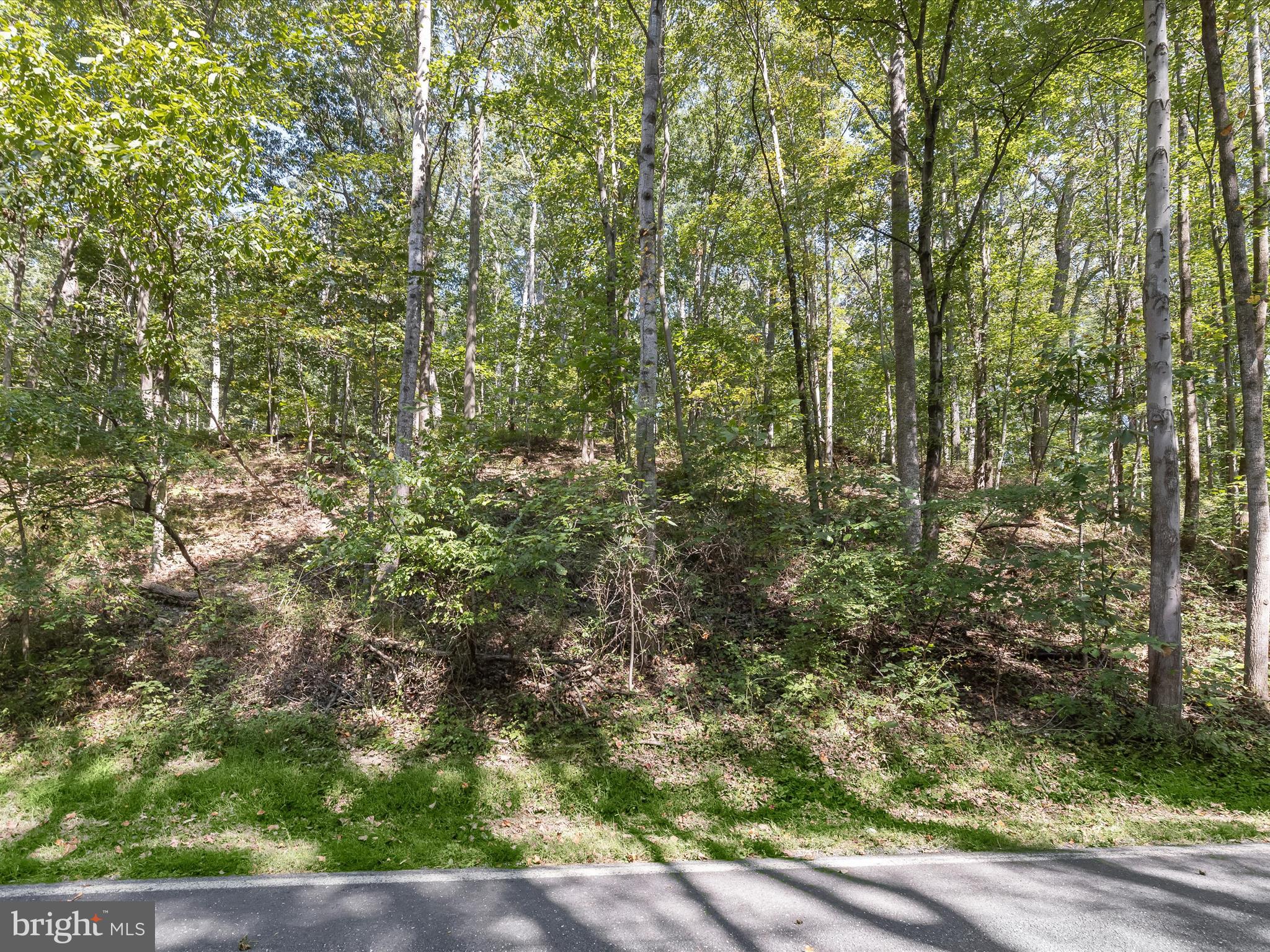 Silver Run Valley Westminster, MD 21158 - Photo 22 of 33 a view of a yard