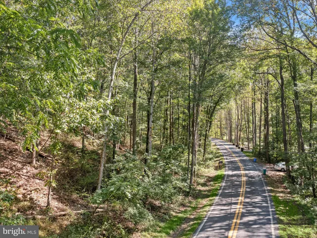 a view of a pathway both side of yard