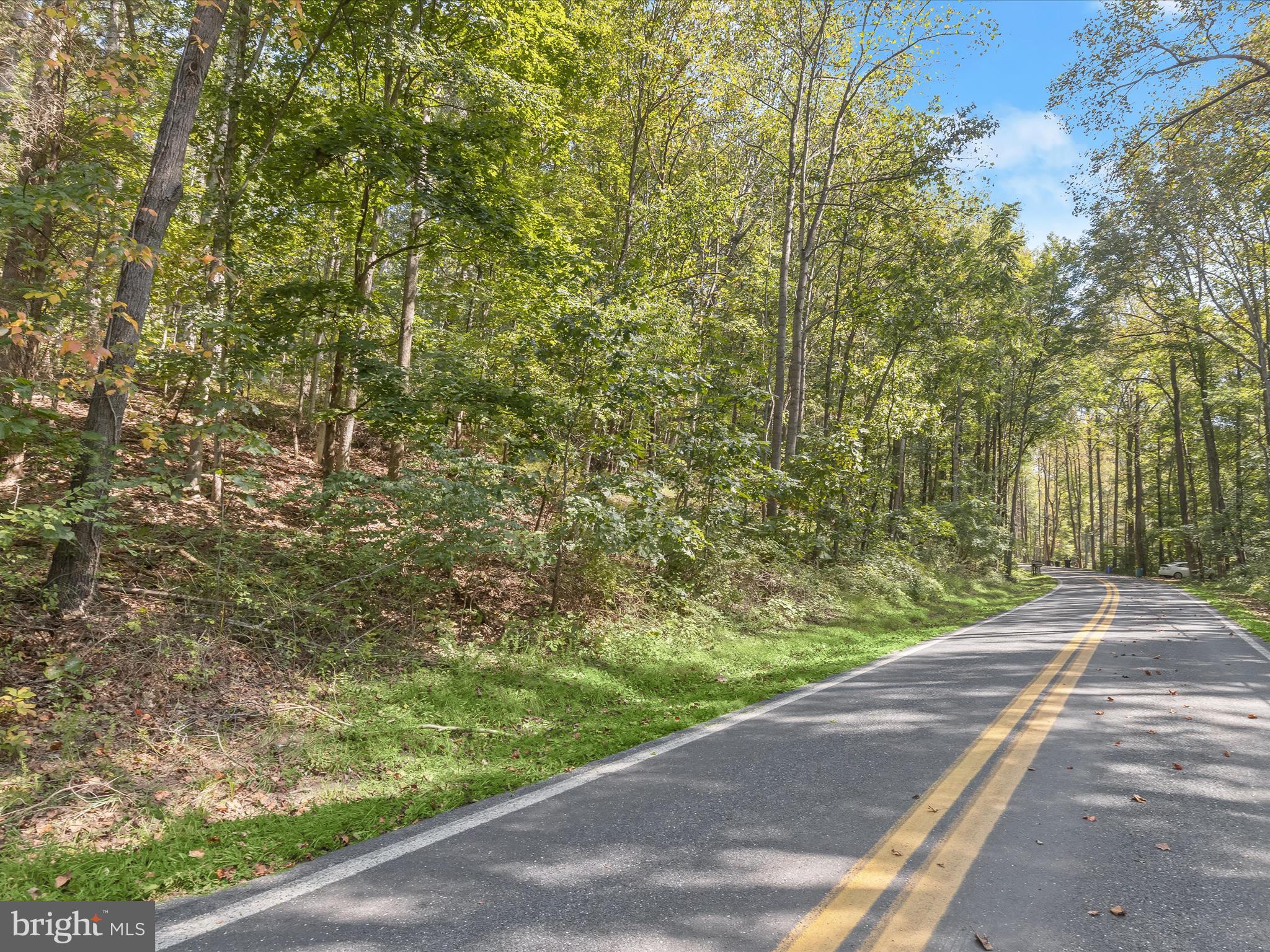 Silver Run Valley Westminster, MD 21158 - Photo 4 of 33