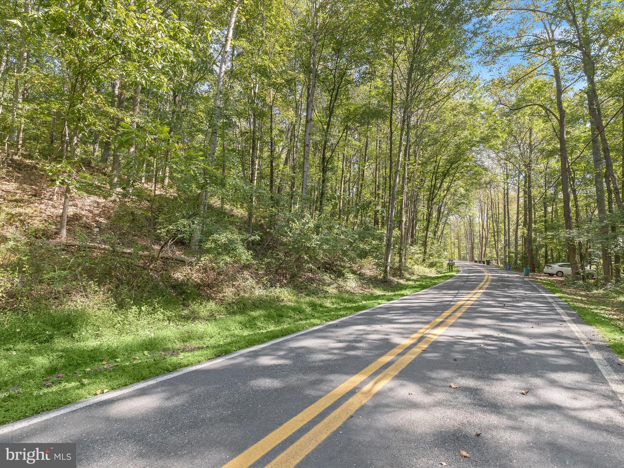 Silver Run Valley Westminster, MD 21158 - Photo 5 of 33 a view of a yard with plants