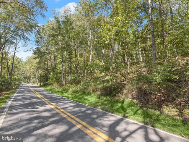 a view of outdoor space and a yard