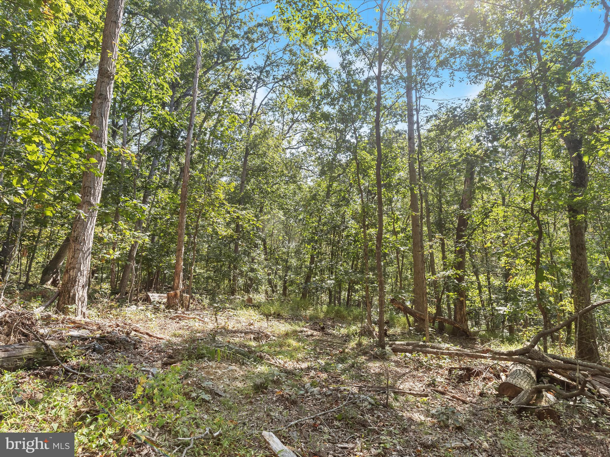 Silver Run Valley Westminster, MD 21158 - Photo 10 of 33 a view of outdoor space and a yard