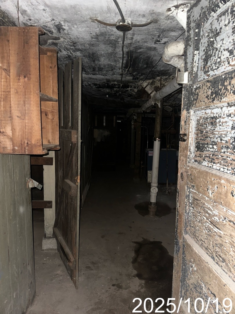 7435 South Wentworth Avenue Chicago, IL 60621 - Photo 18 of 18 a view of storage and utility room