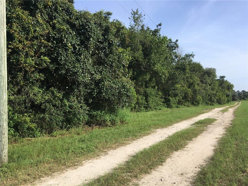 a view of a yard with a tree