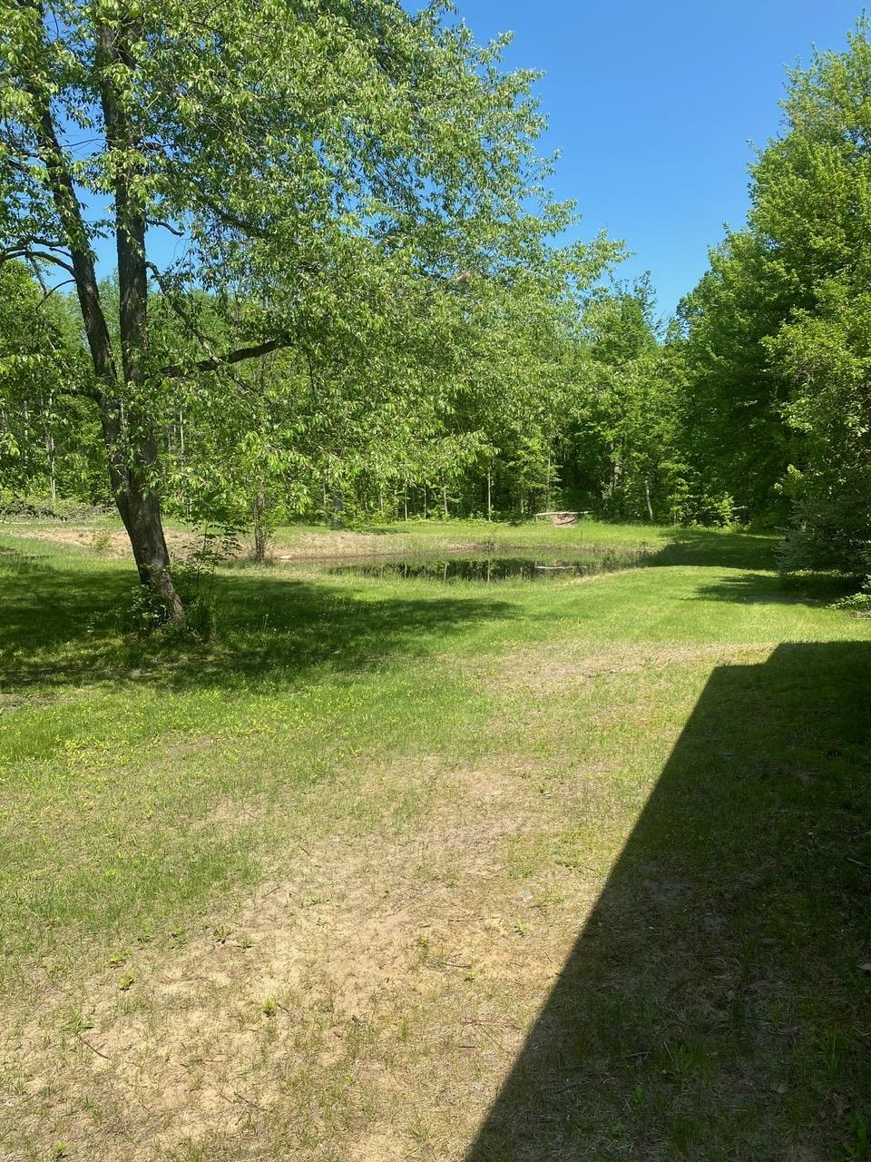 3302 Dana Road Coleman, MI 48618 - Photo 2 of 50