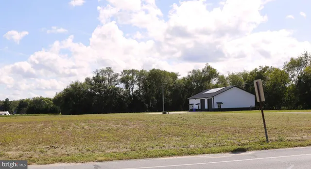 a view of a big yard with a large trees