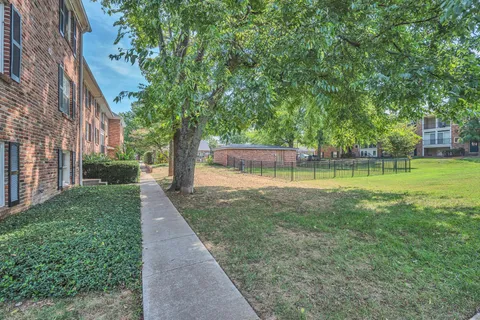 a view of a park with large trees