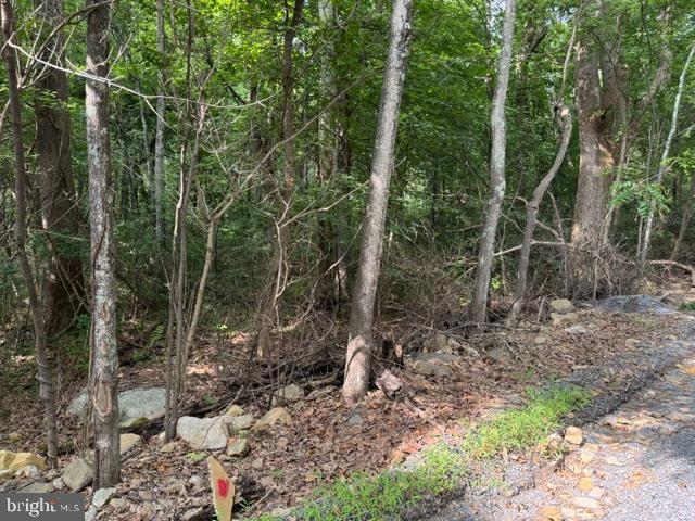 Smith Run Road Bentonville, VA 22610 - Photo 4 of 19 Gallery Image 4