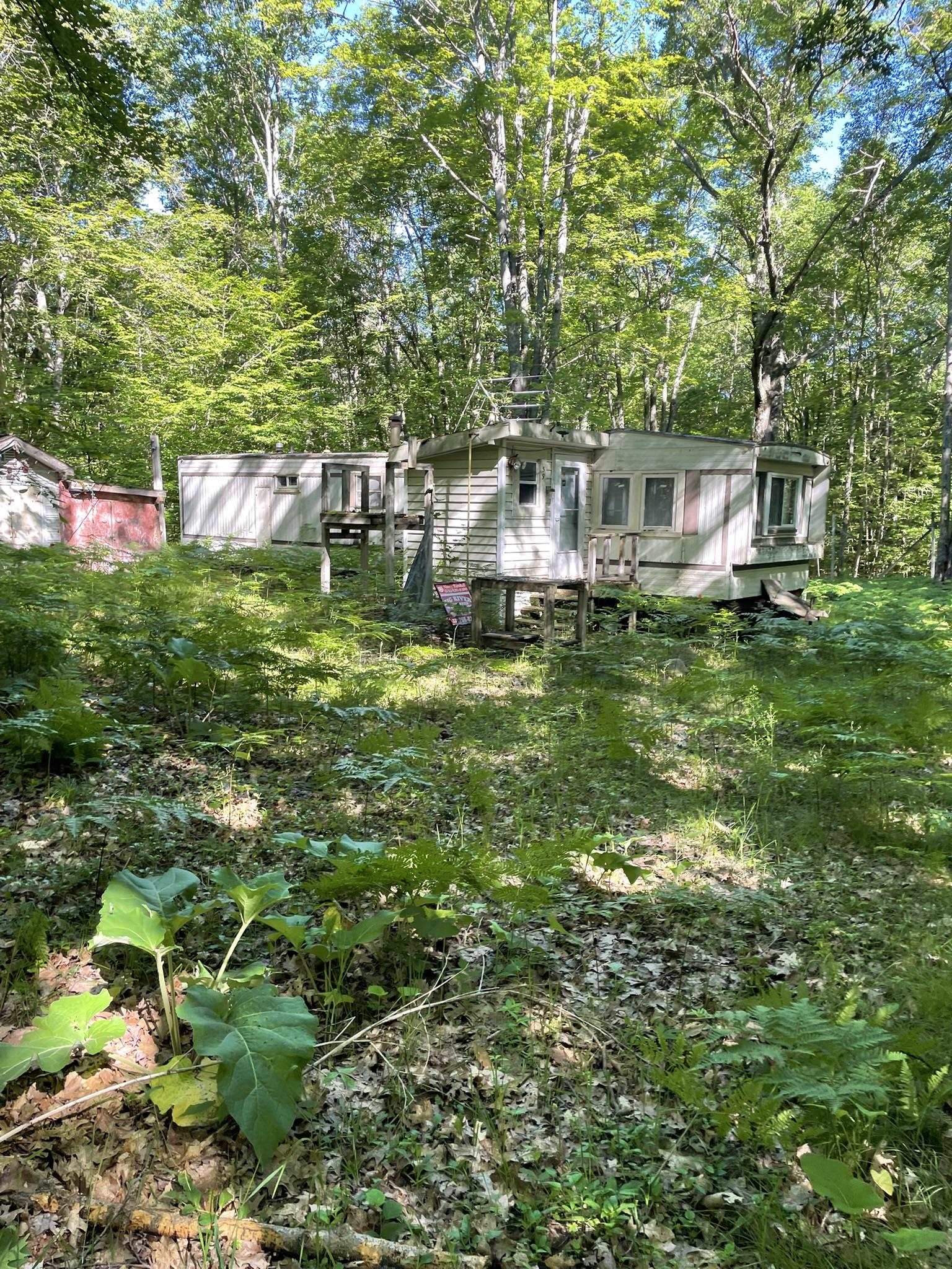 8895 East Grandview Trail Reed City, MI 49677 - Photo 3 of 18