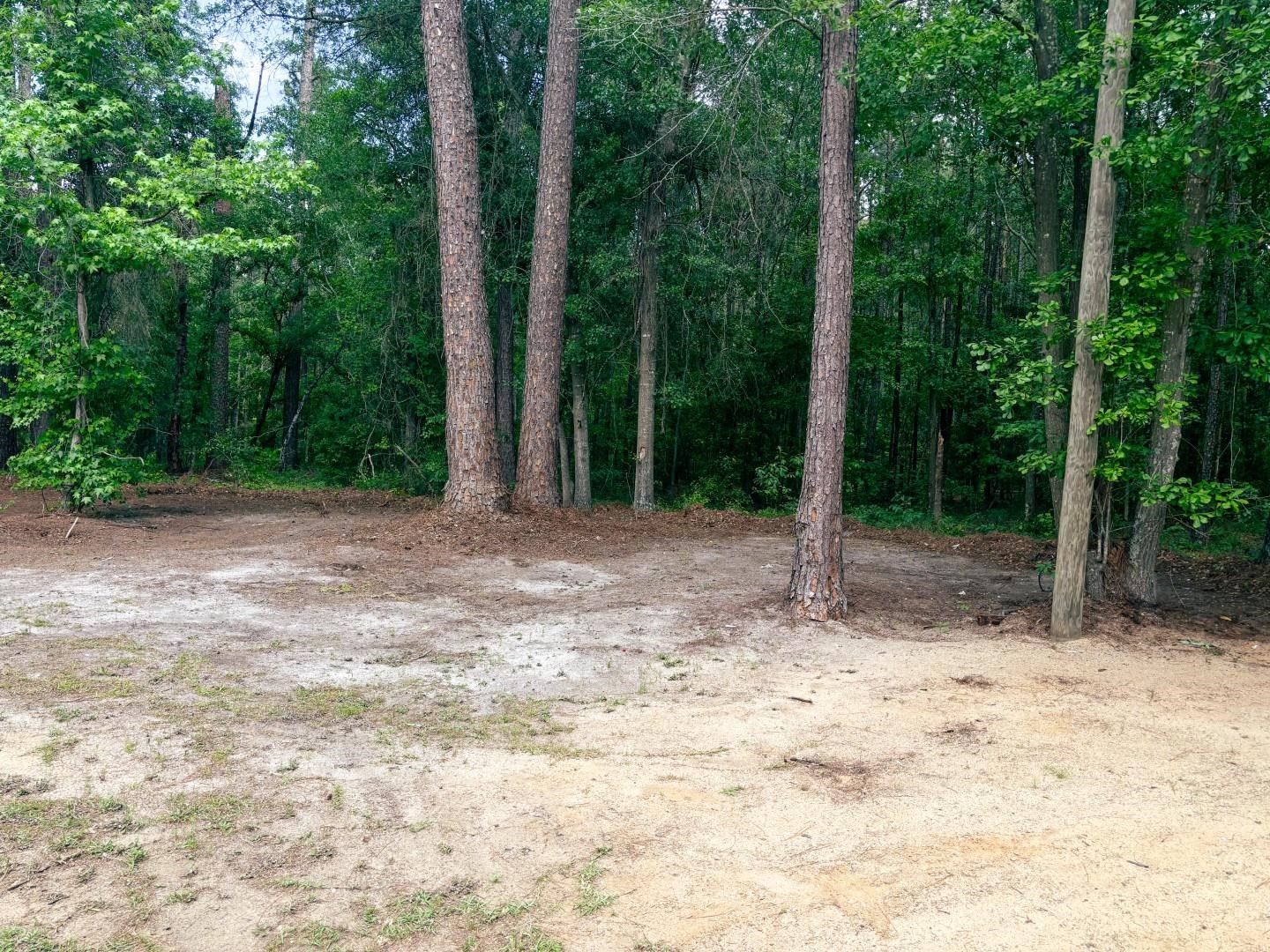 2134 Moccasin Bluff Road Hamer, SC 29547 - Photo 19 of 29