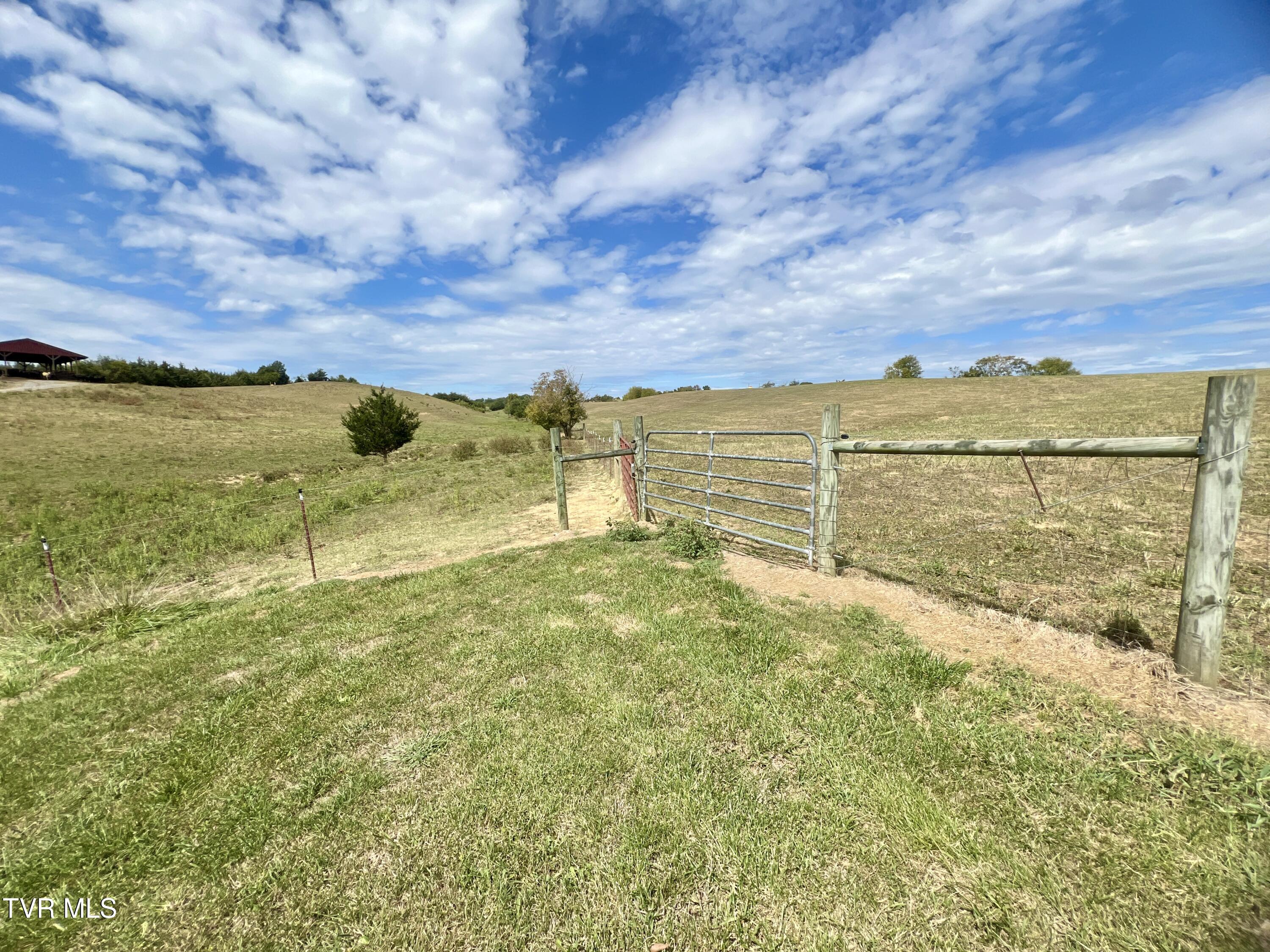 1550 Mt Hope Road, Unit 1 Mohawk, TN 37810 - Photo 78 of 113 _Pic77 (4)