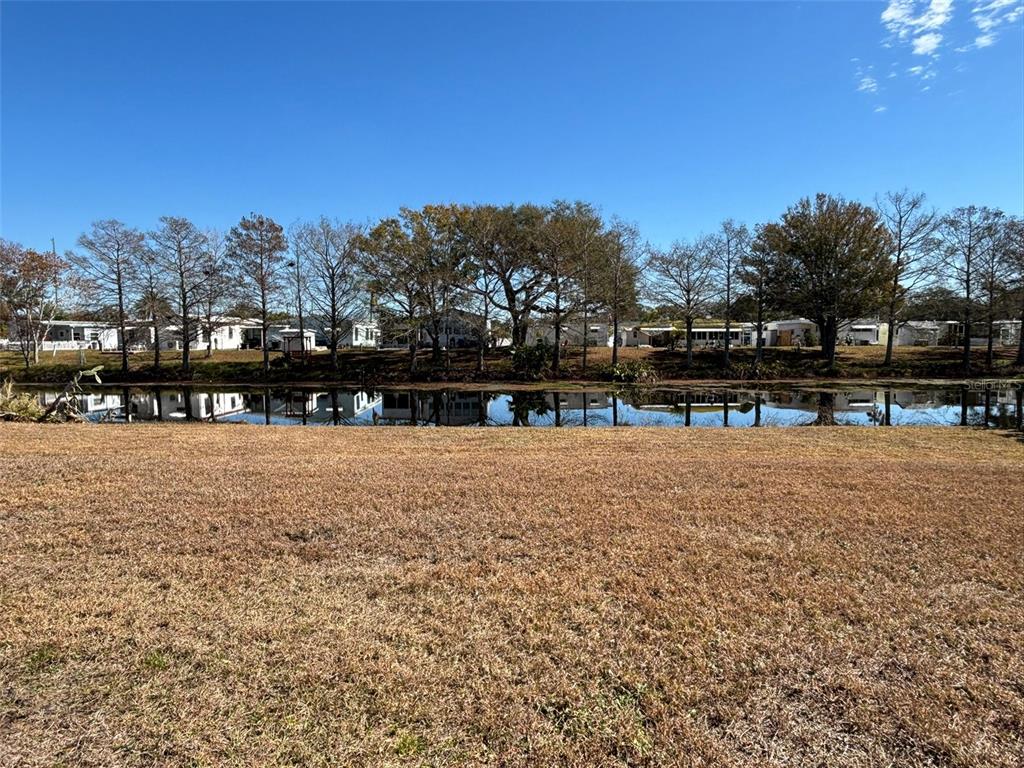 13225 101st Street Southeast, Unit 144 Largo, FL 33773 - Photo 29 of 33 a view of a yard with a large tree