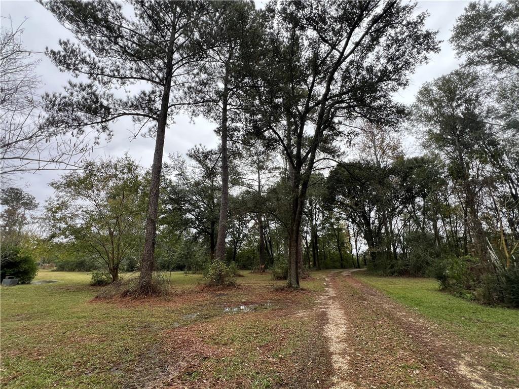 61027 Ruth Holton Road Amite, LA 70422 - Photo 6 of 16