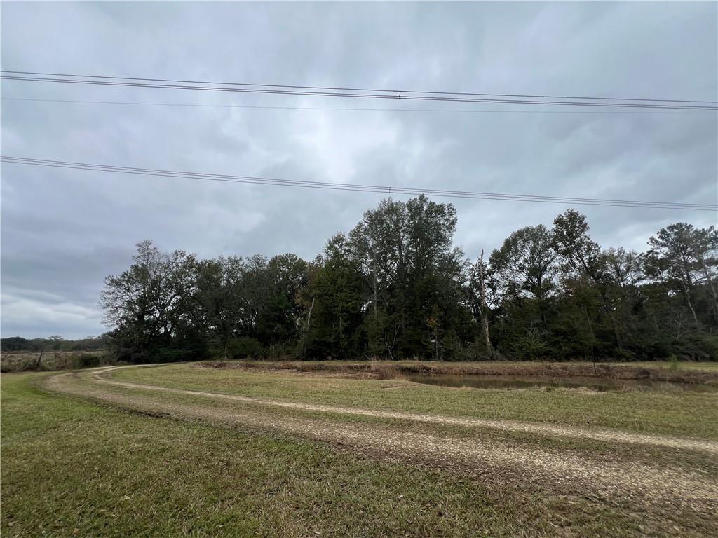 61027 Ruth Holton Road Amite, LA 70422 - Photo 8 of 16