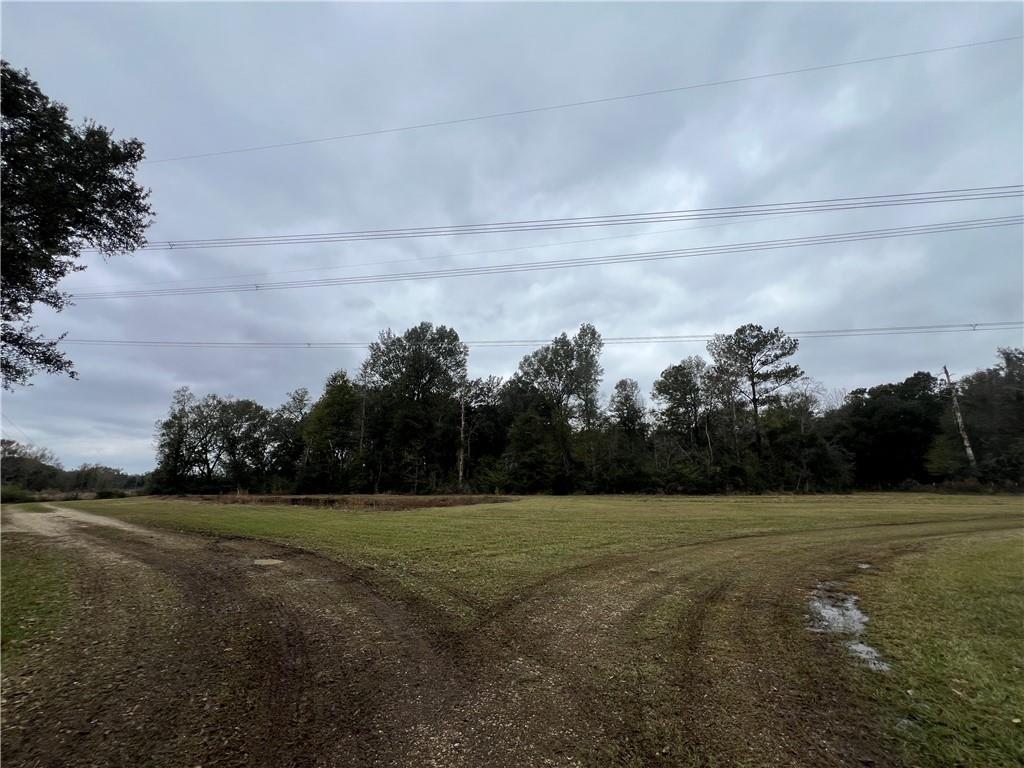 61027 Ruth Holton Road Amite, LA 70422 - Photo 9 of 16