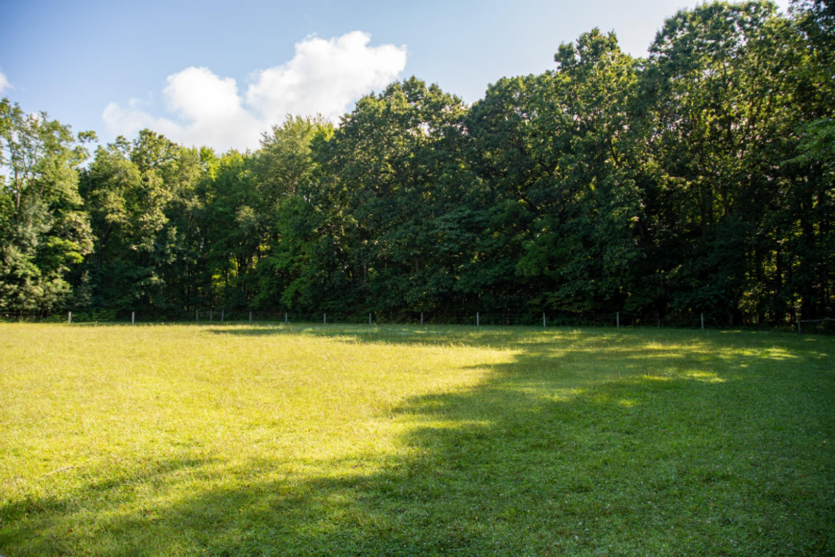 1883 Allen Road Niles, MI 49120 - Photo 51 of 51 Allen Rd-45