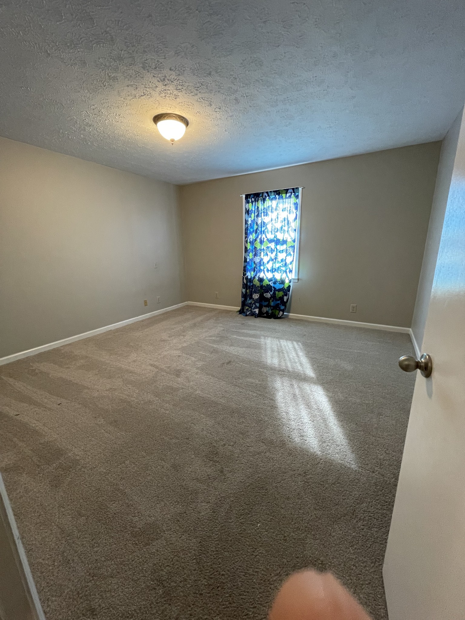 2017 Daughrity Road Chapel Hill, TN 37034 - Photo 11 of 20 Gallery Image 11