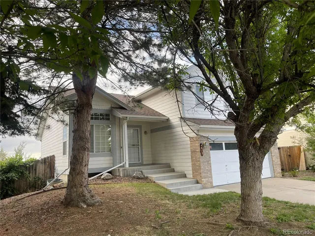 a tree in front of white house