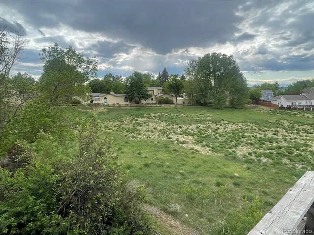 a view of a lush green space