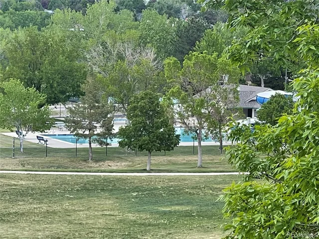 a view of a park with large trees
