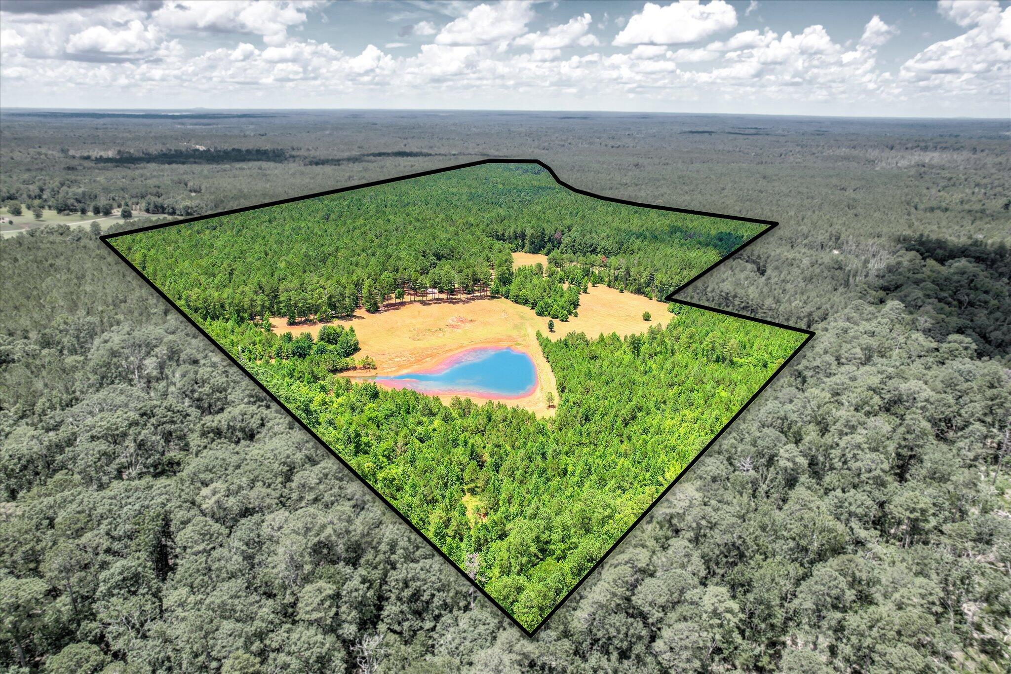 395 New Cut Road Edgefield, SC 29824 - Photo 48 of 74 48