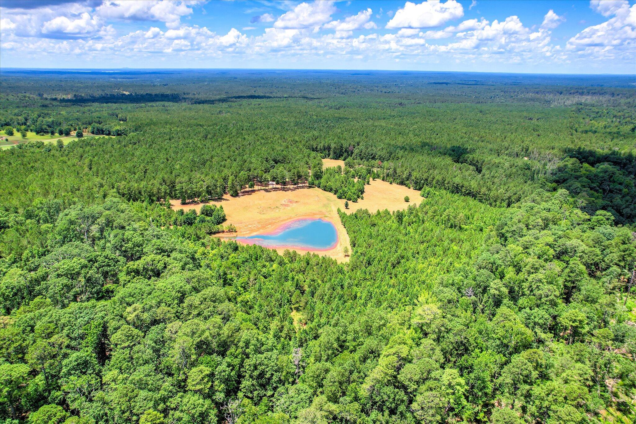 395 New Cut Road Edgefield, SC 29824 - Photo 53 of 74 53