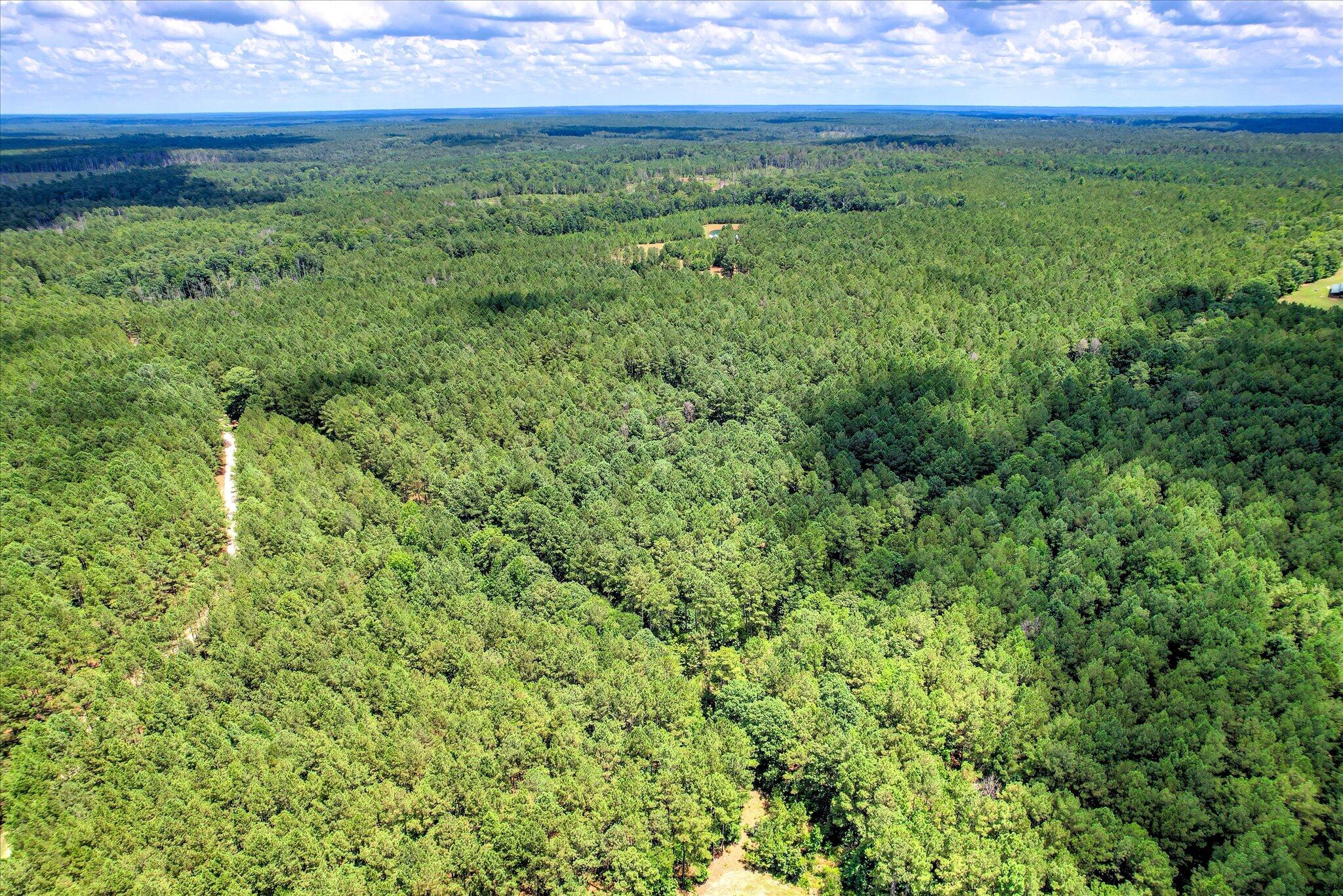395 New Cut Road Edgefield, SC 29824 - Photo 54 of 74 54