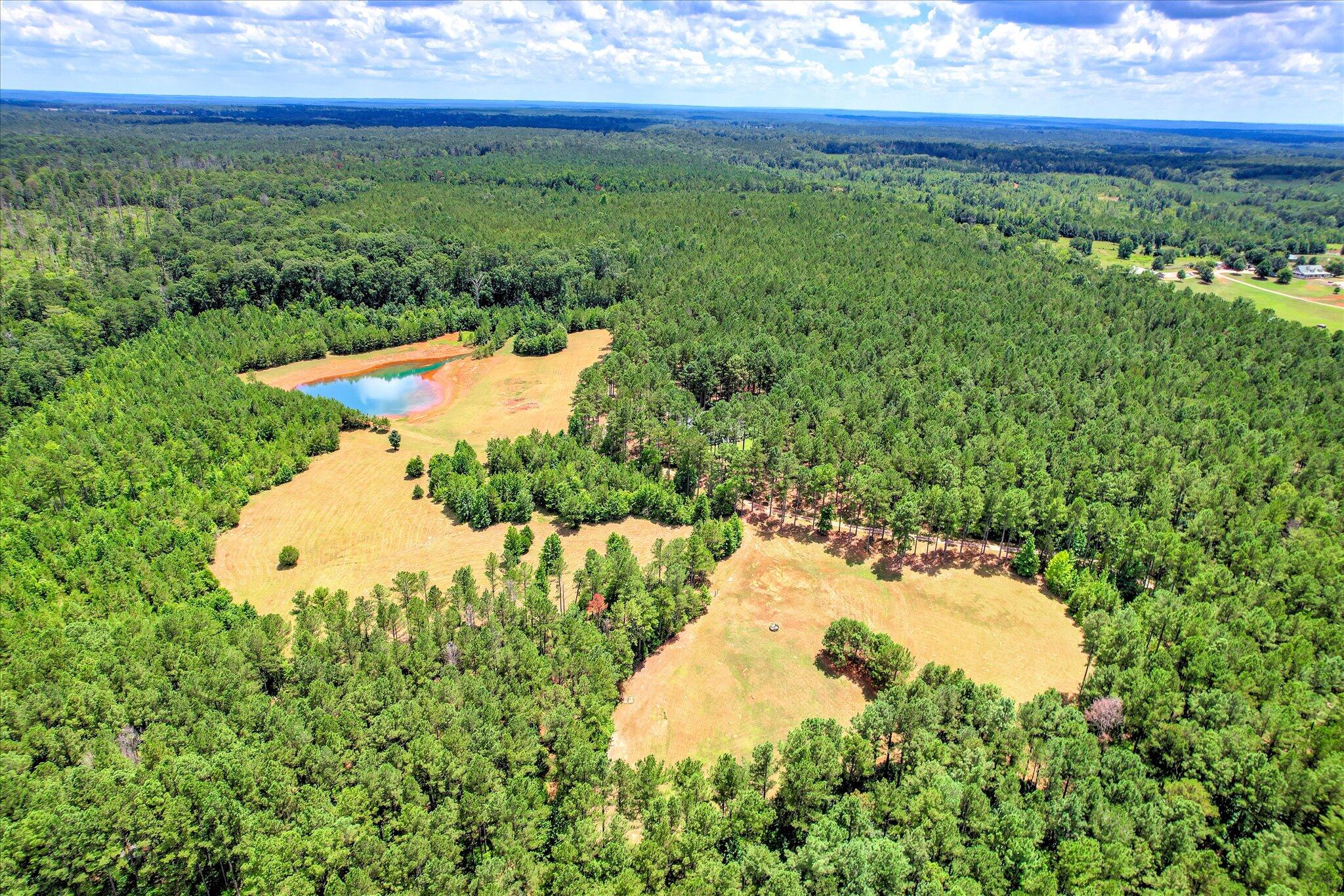395 New Cut Road Edgefield, SC 29824 - Photo 55 of 74 55