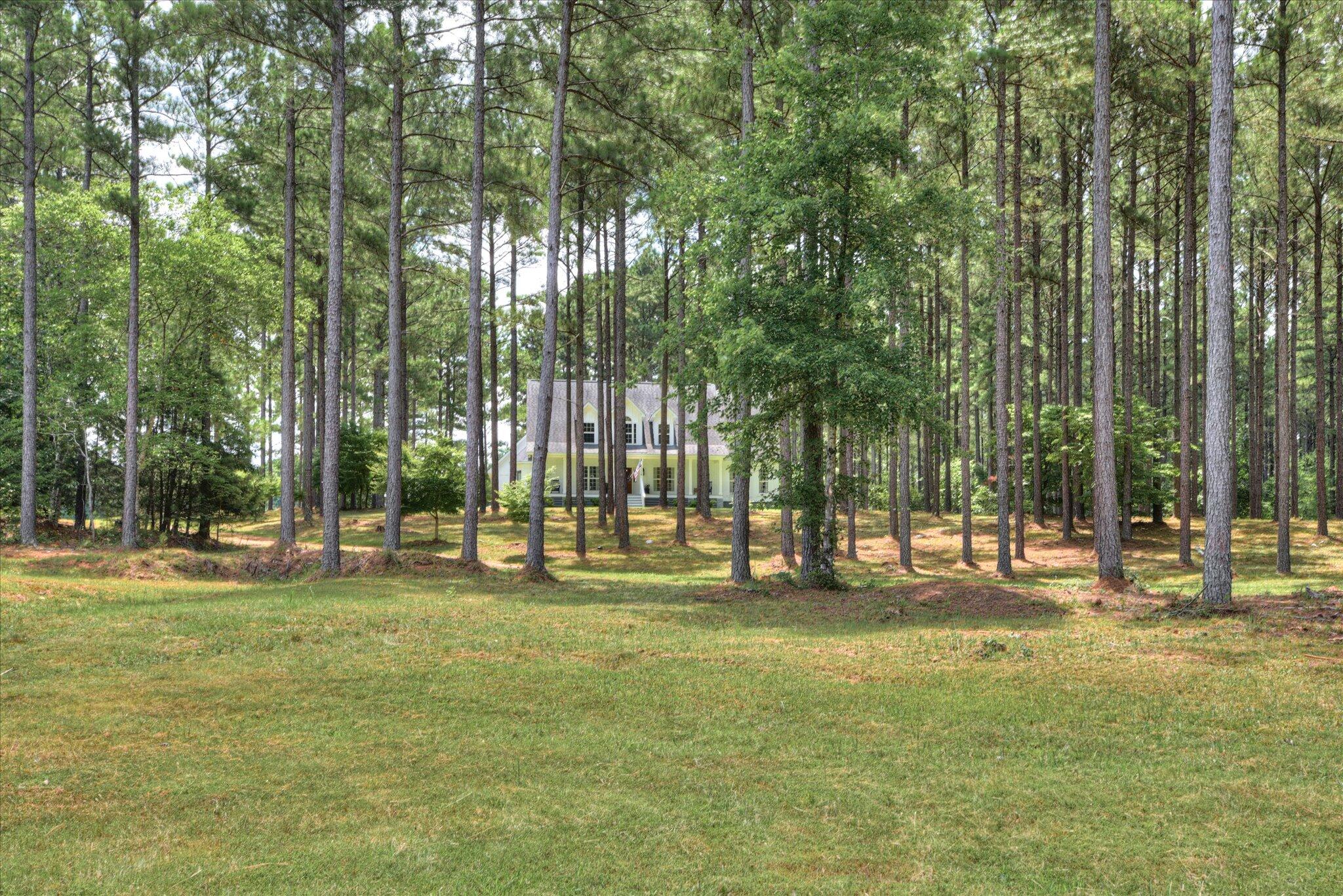 395 New Cut Road Edgefield, SC 29824 - Photo 56 of 74 56