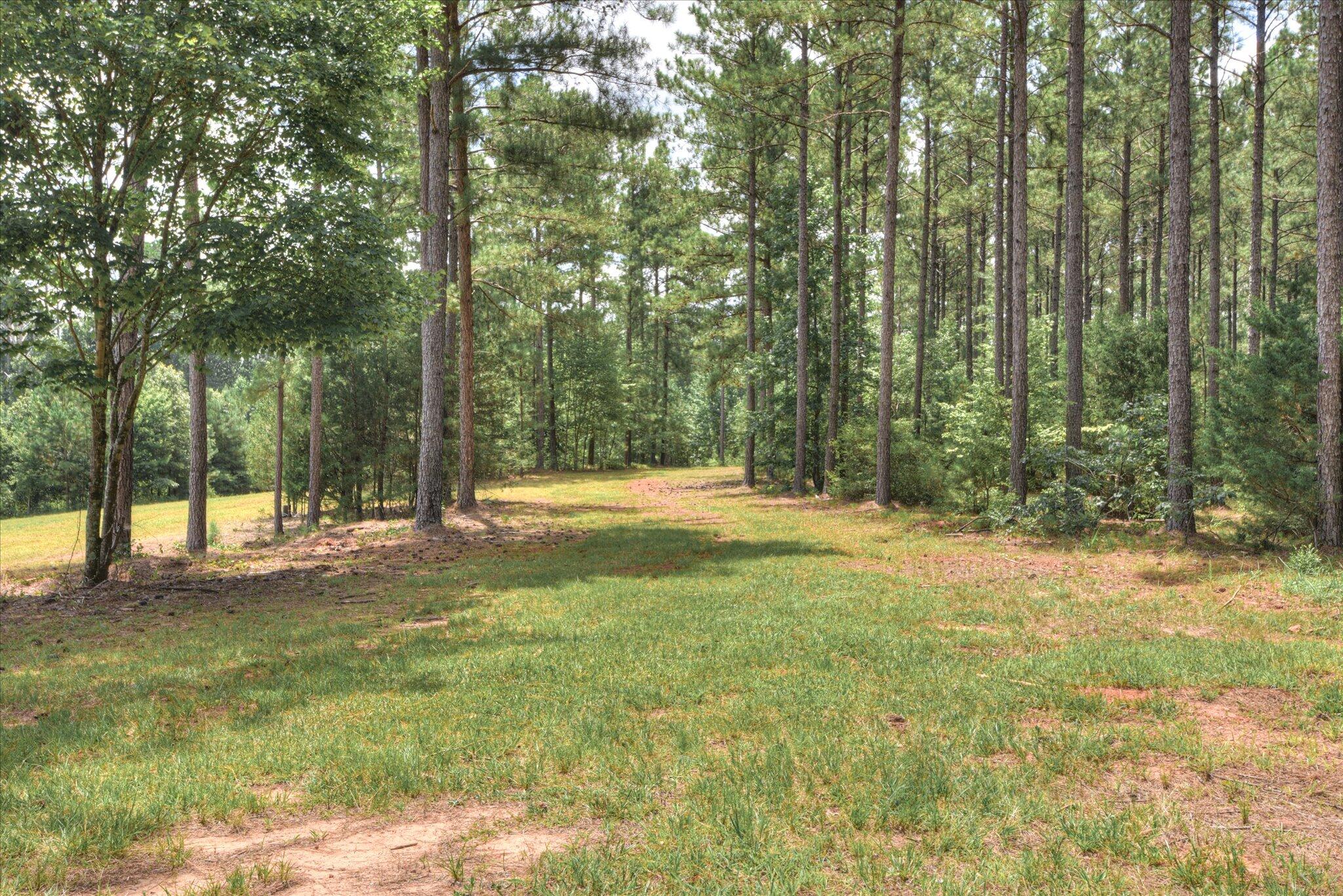 395 New Cut Road Edgefield, SC 29824 - Photo 64 of 74 64